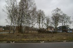 Zukünftige Parkanlage Wildwuchs in der Parkanlage