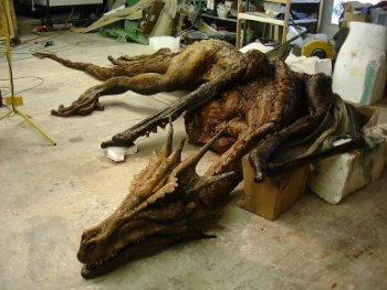 Mysteriöser Fund: Das Anshun Drachen-Fossil