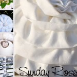 Sunday Roses
