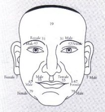 Face Reading 2010