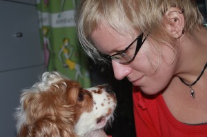 Hundepsychologe bei der Arbeit Hundepsychologe bei der Arbeit