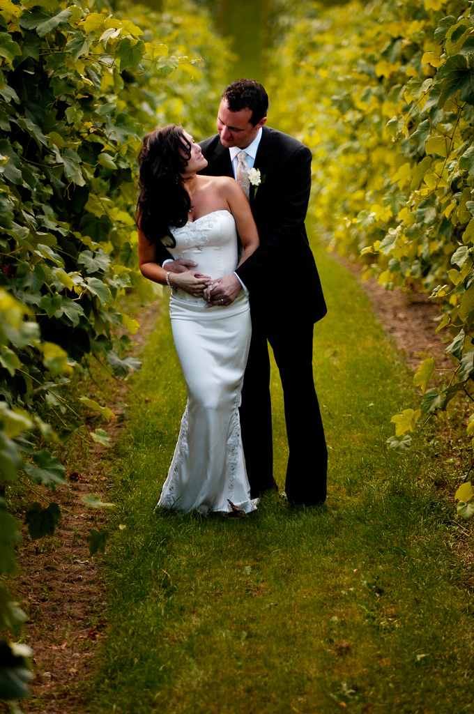 Hochzeitspaar in einem Weinberg