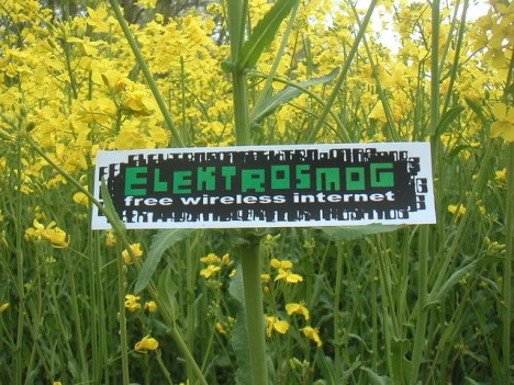 Elektrosmog: Wie wirkt er sich auf Pflanzen aus? Elektrosmog: Wie wirkt er sich auf Pflanzen aus?