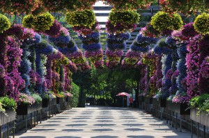 Farbenfroh: Der Botanische Garten Shanghai Farbenfroh: Der Botanische Garten Shanghai