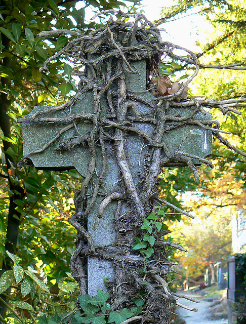 Religion: Errungenschaft der Natur