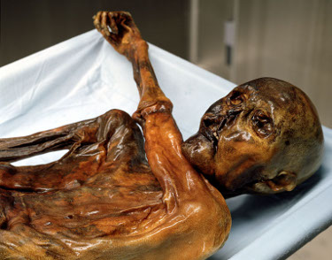 Die Gletschermumie Ötzi