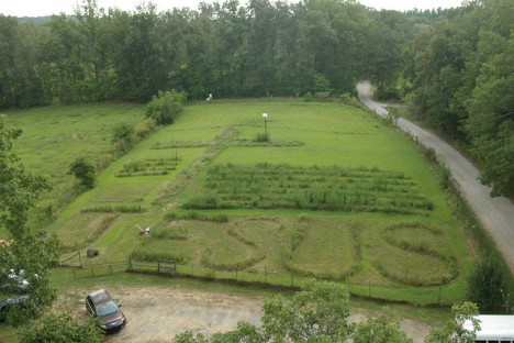 Blick vom Glockenturm des Baumhauses in den Garten Blick vom Glockenturm des Baumhauses in den Garten