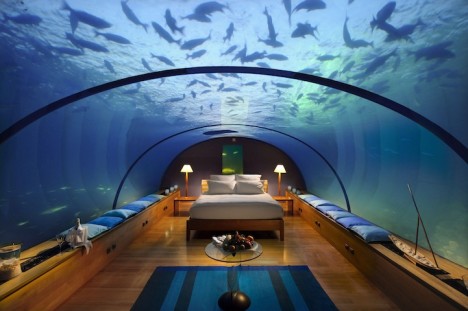 Unterwasser-Schlafzimmer mit Blick auf das umliegende Korallenriff und seine Meeresbewohner: Würden Sie sich hier wohlfühlen?