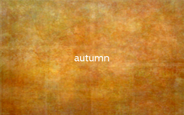 Die Farben im Herbst (Bildquelle: thecolorof.com)