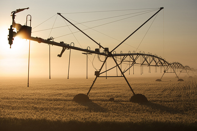 Bewässerungsanlage in einem Getreidefeld, Minnesota, USA