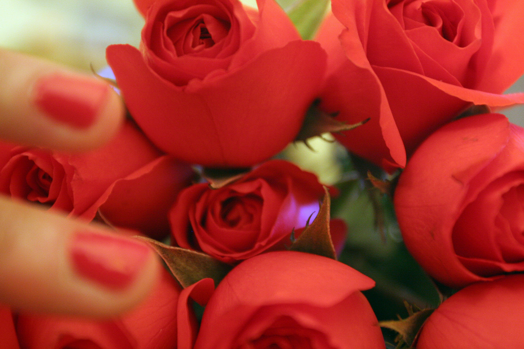 Der Duft frischer Blumen wirkt besonders erfrischend auf die Raumluft Der Duft frischer Blumen wirkt besonders erfrischend auf die Raumluft