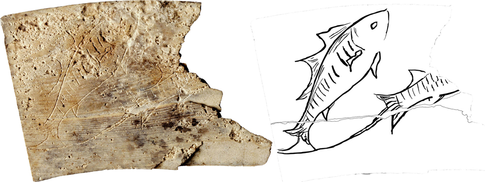 Dieses Fragment der Tierkreistafel zeigt das Zeichen "Fische"