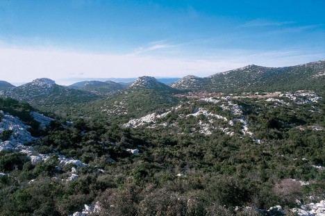 Die Gegend um die Höhle, das Nakovana Plateau, ist nicht gerade für seine Hochkultur berühmt geworden. Was wollte man hier mit den Tierkreistafeln?