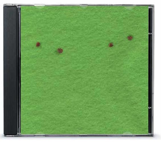 Radieschen-Samen in einem CD-Hüllen-Gewächshaus