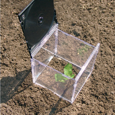Mini-Gewächshaus aus alten CD-Hüllen