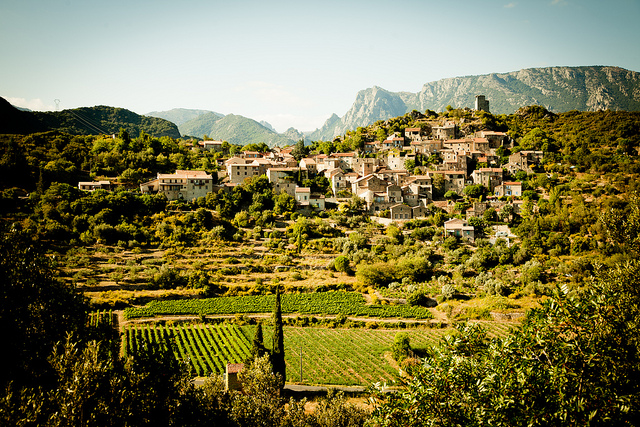 Languedoc Roussillon verfügt über exzellentes Feng Shui - Weinanbau im Süden Frankreichs