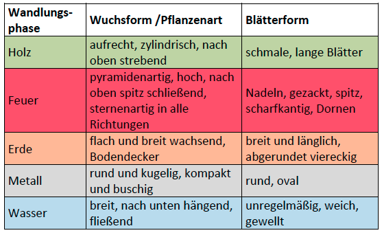 Wandlungsphasen der Feng Shui Pflanzen