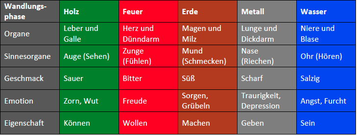 Bedeutung der Körperorgane in der Traditionellen Chinesischen Medizin
