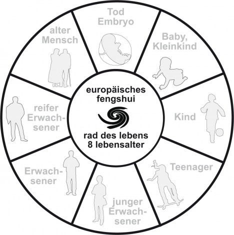 Die 8 Wandlungphasen entsprechend dem Lebensalter, Grafik (C) Irmgard Brottrager