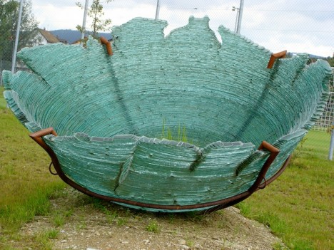 Große Schale - großer Reichtum? Foto: H.Siepel