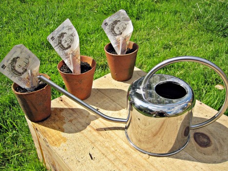 Werden die Menschen erst merken, dass man Geld nicht essen kann, wenn die Umwelt zerstört ist? Foto (C) Images Money / flickr