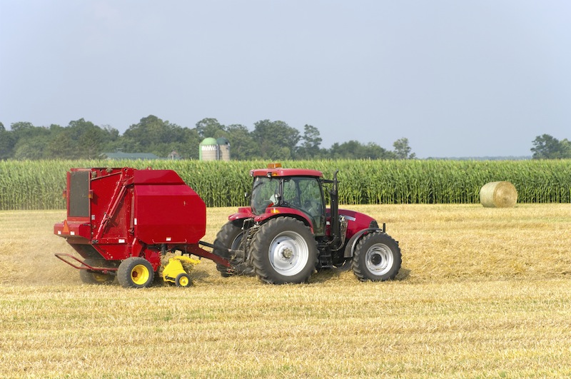 So wie die Ernte ausfällt, so wird werden die kommenden Monate werden, reich oder arm. Foto: istockphoto / SimplyCreativePhotography