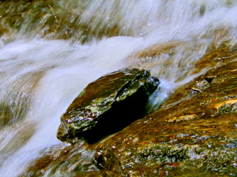 In der Rettenbachklamm, Foto (C) Irmgard Brottrager