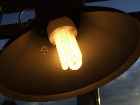 Der Einsatz von Energiesparlampen ist nicht unumstritten.