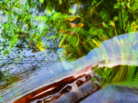 Wasser-Entnahmestelle an der Lorberquelle in Stattegg bei Graz, Foto (C) Irmgard Brottrager