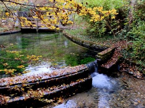 Lorberquelle Graz, Auslaufbecken, Foto (C) Irmgard Brottrager