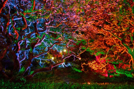 Exotisch bunte Gartenbeleuchtung: Was auf den ersten Blick schön anmutet, strahlt bei näherer Betrachtung zu viel Unruhe aus. Das lässt sich harmonischer gestalten!