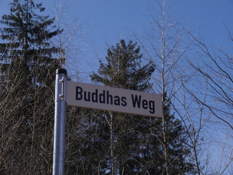 Nicht nach Fernost, sondern in den Odenwald bin ich gefahren, um ein buddhistisches Kloster zu besuchen. Foto: ©Hedwig Seipel