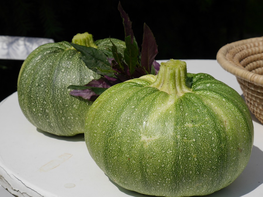 Gemüse aus dem eigenen Garten ist viel Mahr als nur Gaumenschmaus.