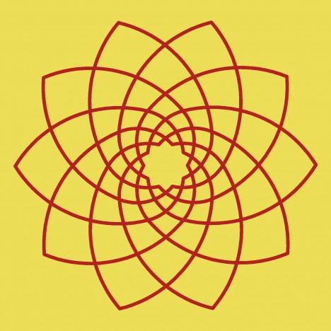 Venusblume, Grafik (C) Irmgard Brottrager