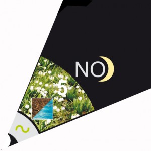 Die Wandlungsphase Vorfrühling, Grafik (C) Irmgard Brottrager