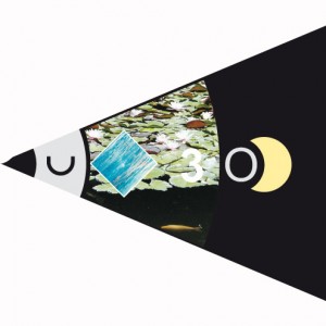 Die Wandlungsphase Frühling, Grafik (C) Irmgard Brottrager