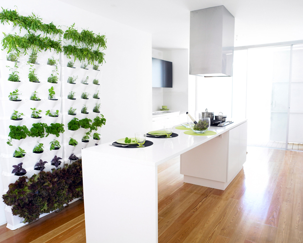 Mit einem vertikalen Gemüsegarten hat man Salat und Kräuter stets im Haus