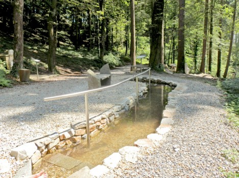 Kneipp-Fußbad, Foto (C) Irmgard Brottrager