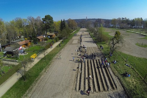 Der Der 2000m² Weltacker am Kladower Damm 57 in 14089 Berlin