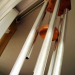 Nervlich oder glücksbringend? Foto: cc-0, Public Domain via pixabay.com, by lebastias