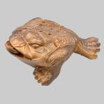 Die asiatische Variante des Goldesels. Foto: HS