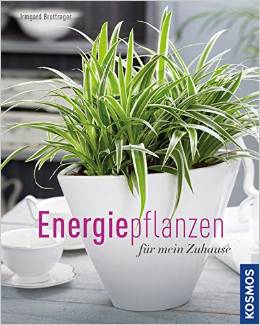 Covergestaltung (C) Kosmos Verlag
