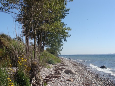 Auf Aar findet man absolute Ruhe, kilometerlangen Naturstrand und pure Erholung. Die Hühnergötter gibt es als Gratis-Zugabe. Foto: ©Hedwig Seipel