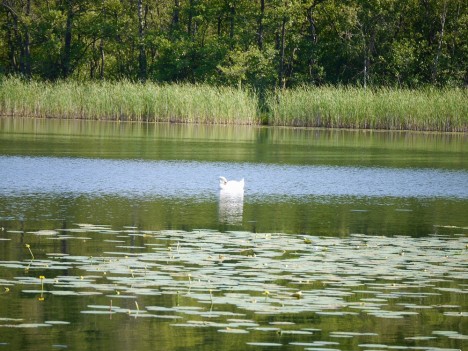 Noch Blau oder schon Grün? Foto: © Hedwig Seipel