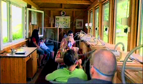 Inhalationstherapie im Bienenhaus mit Blick auf Blumenwiese
