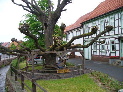 Tanzlinde in Tabarz, Thüringen