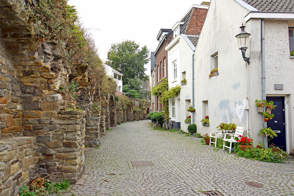 Alte Stadtmauer in Maastricht: Erstaunliches gedeiht in ihren Fugen