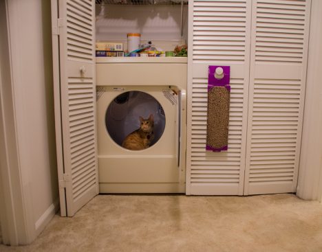 Durch die Integration von Wäschetrockner und Waschmaschine in einem Schrank entstehen zusätzlich nutzbare Abstellflächen und Stauraum
