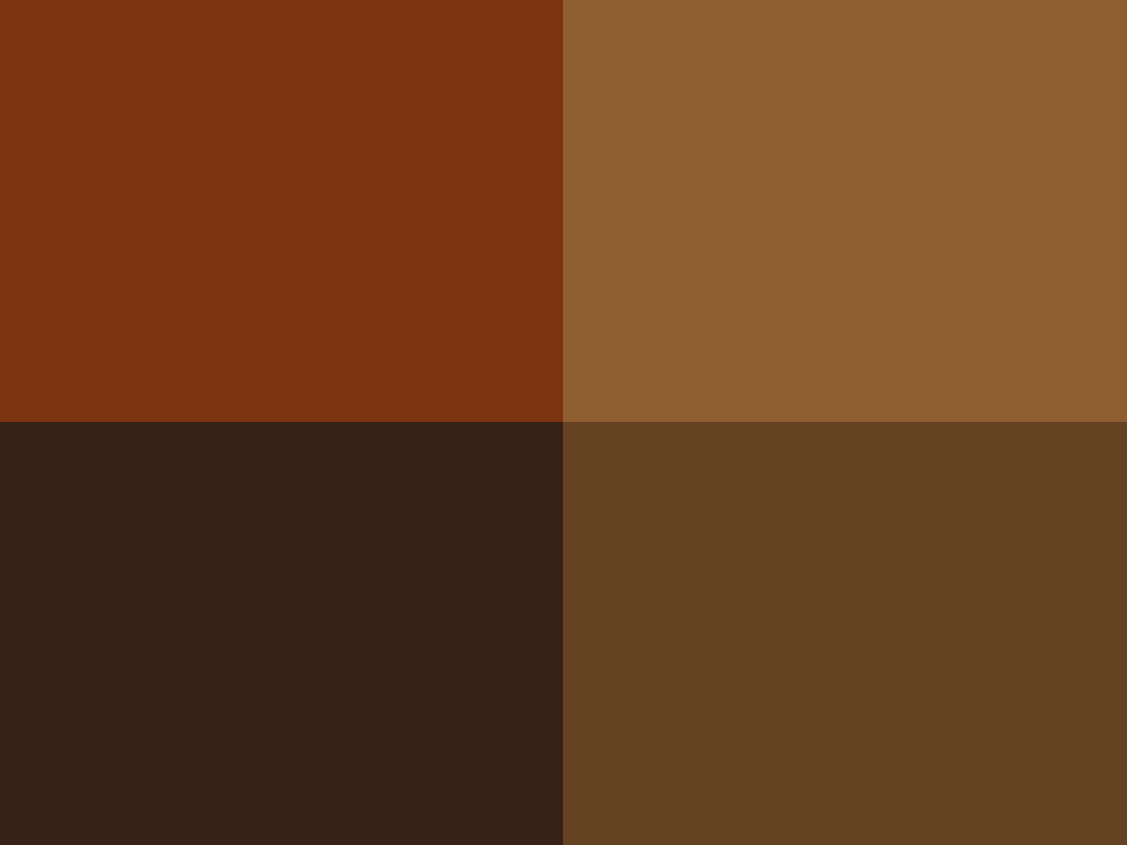 Farbe Braun