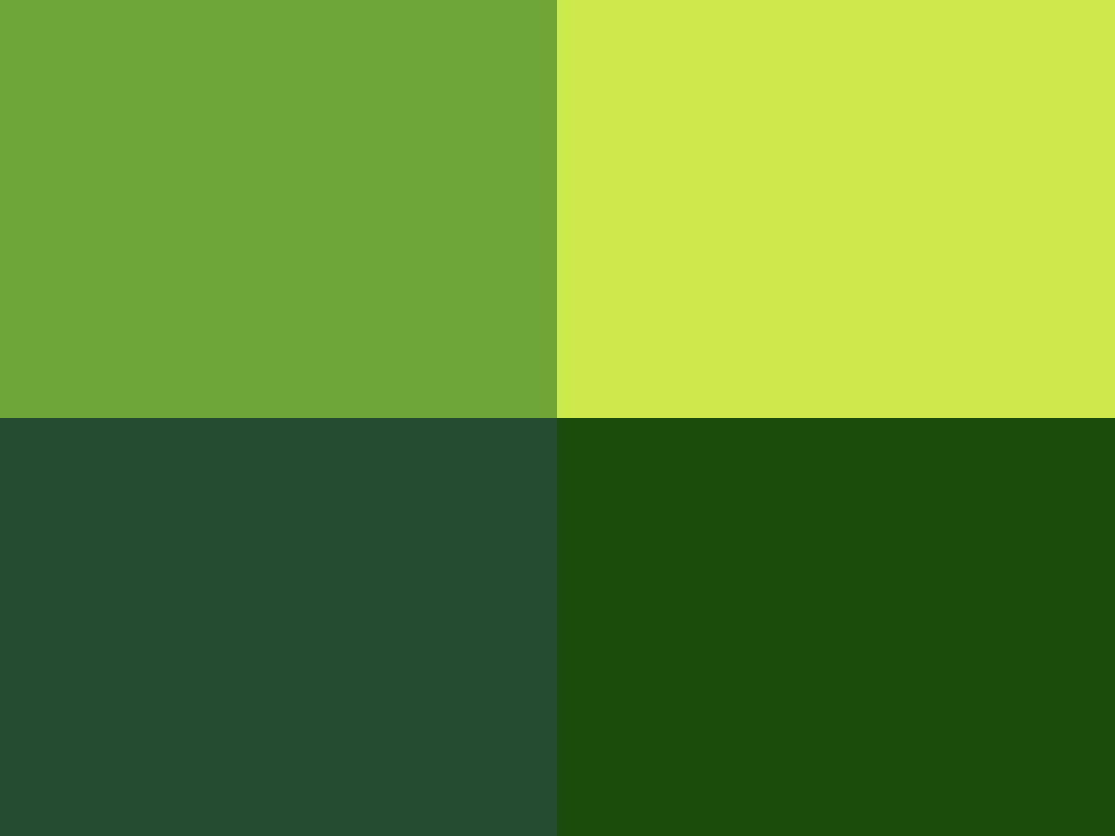 Farbe Grün / Greenery